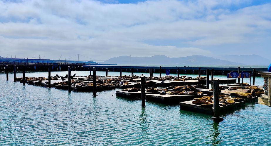 Piedras Blancas San Simeon